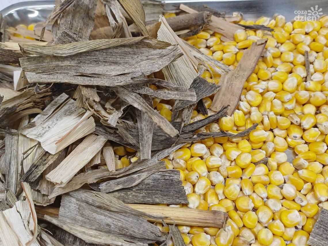 Drugie życie odpadów. Sprawdź, jak wykorzystać ich potencjał Drugie życie odpadów. Sprawdź, jak wykorzystać ich potencjał