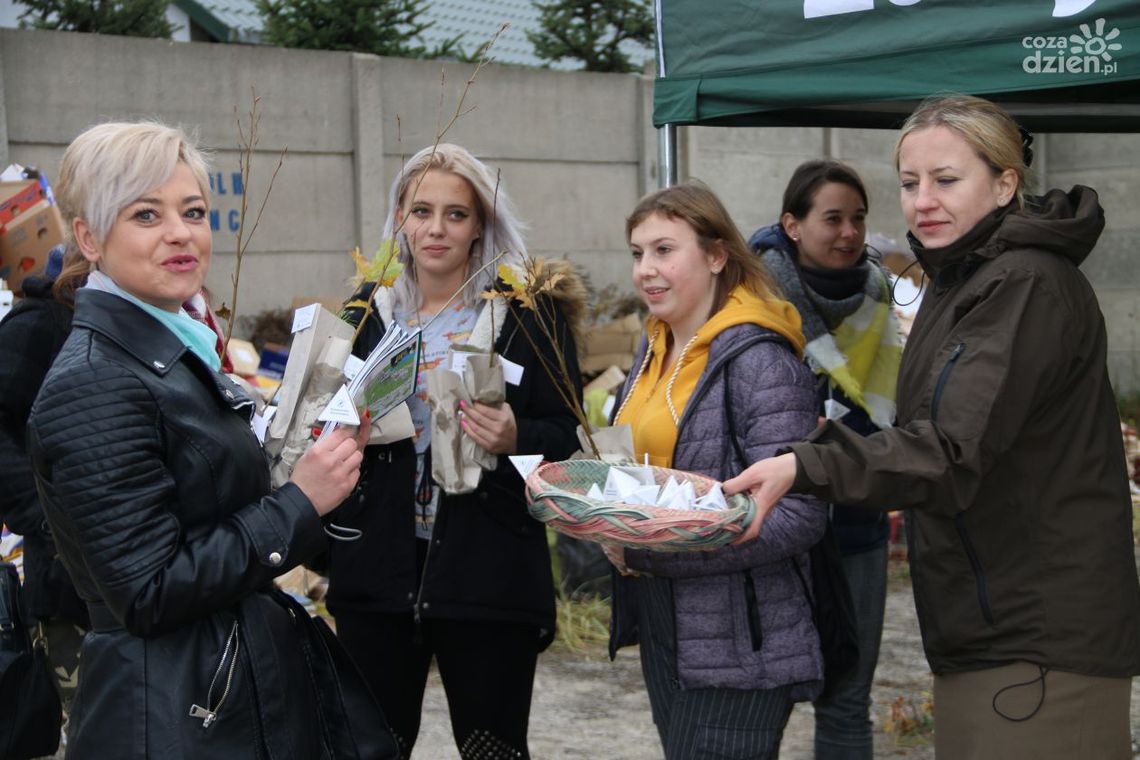 Drzewka za makulaturę - rozdali blisko sto sadzonek