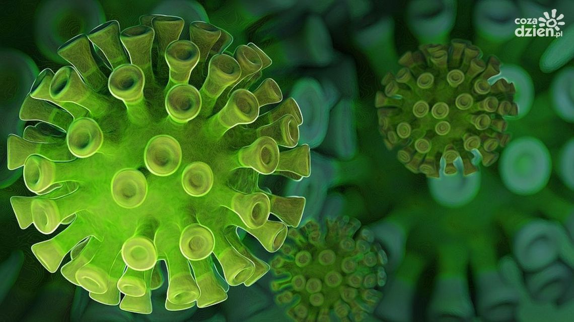 Duża liczba zakażeń w powiecie ostrowieckim Duża liczba zakażeń w powiecie ostrowieckim