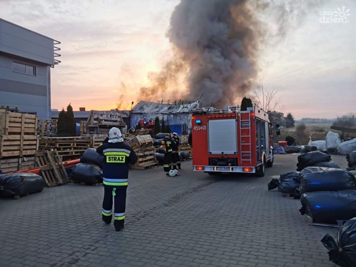Duży pożar hali magazynowej. Sytuacja opanowana Duży pożar hali magazynowej. Sytuacja opanowana