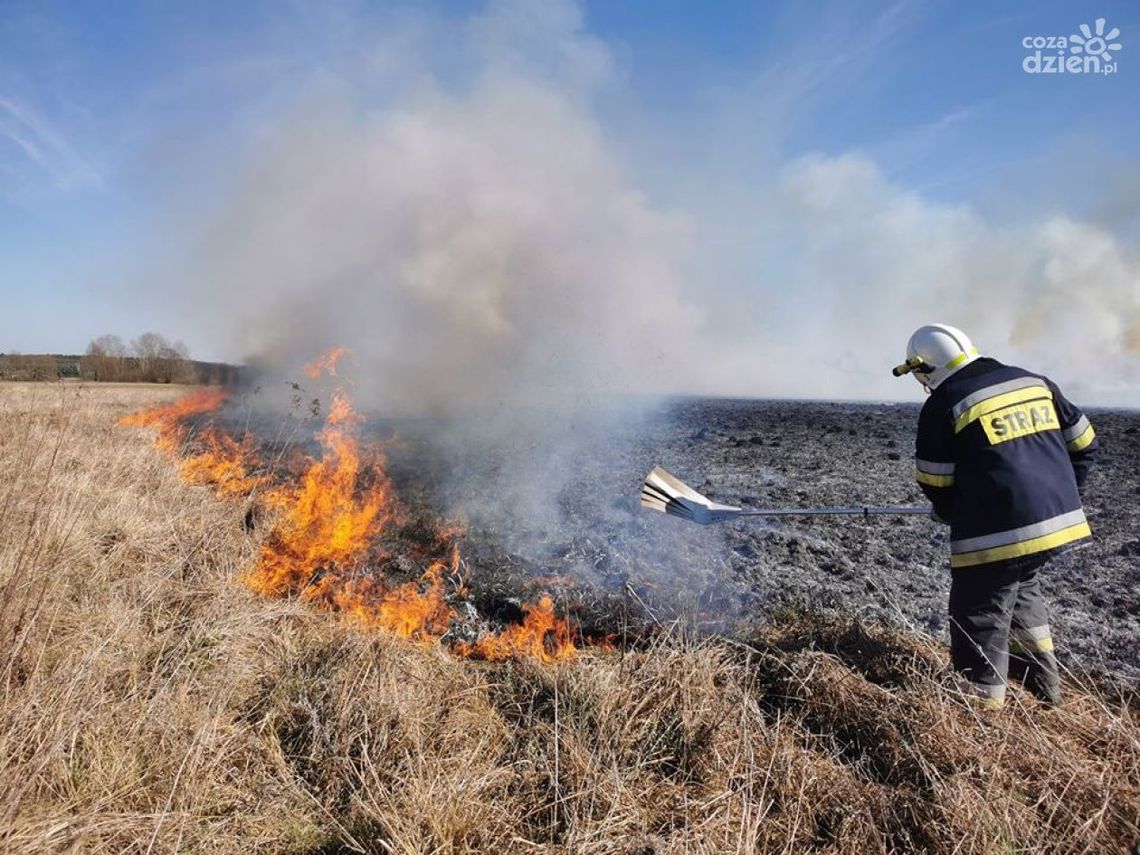 Duży pożar traw w Brzóstowie Duży pożar traw w Brzóstowie