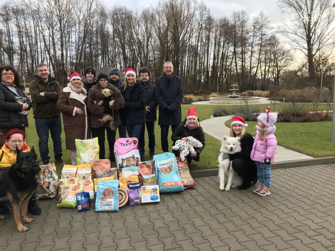 Działacze ostrowieckiej PO nie zapominają też o bezdomnych zwierzętach Działacze ostrowieckiej PO nie zapominają też o bezdomnych zwierzętach