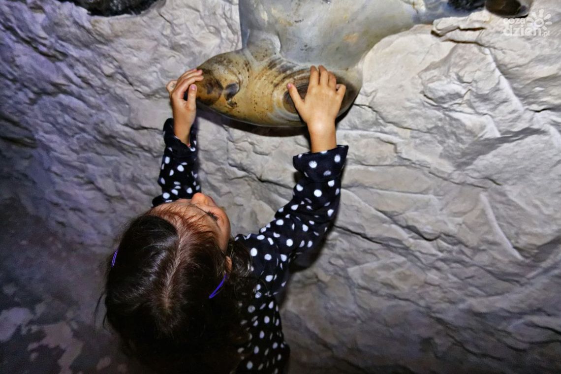 Dzień Dziecka w muzeum...