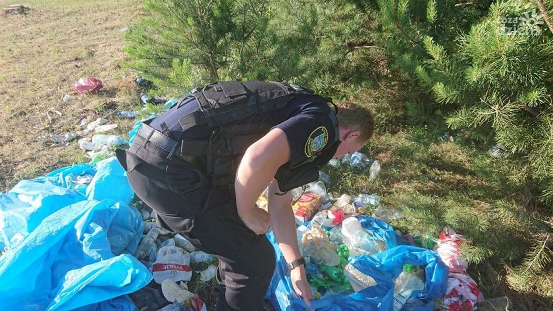 Dzikie wysypiska wyrastają, jak grzyby po deszczu Dzikie wysypiska wyrastają, jak grzyby po deszczu