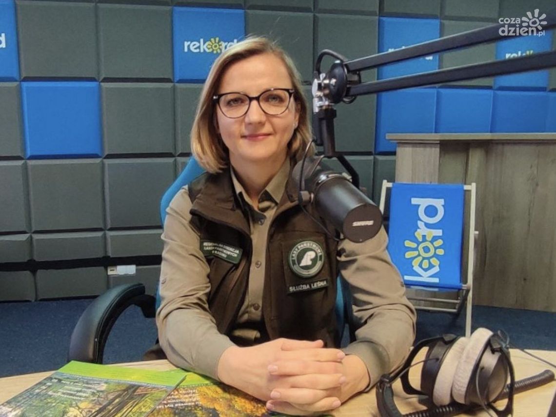 E. Nowicka: Mamy w lasach mnóstwo ukrytych skarbów