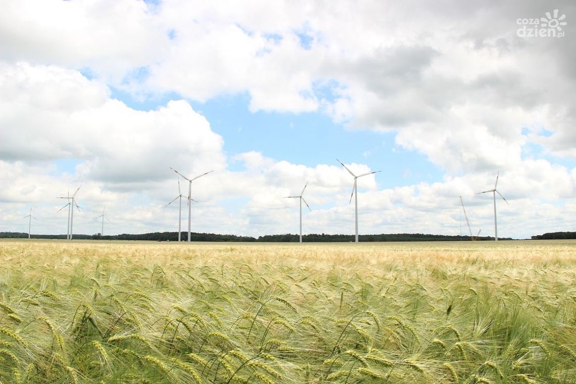 Eko Kino z eko edukacją