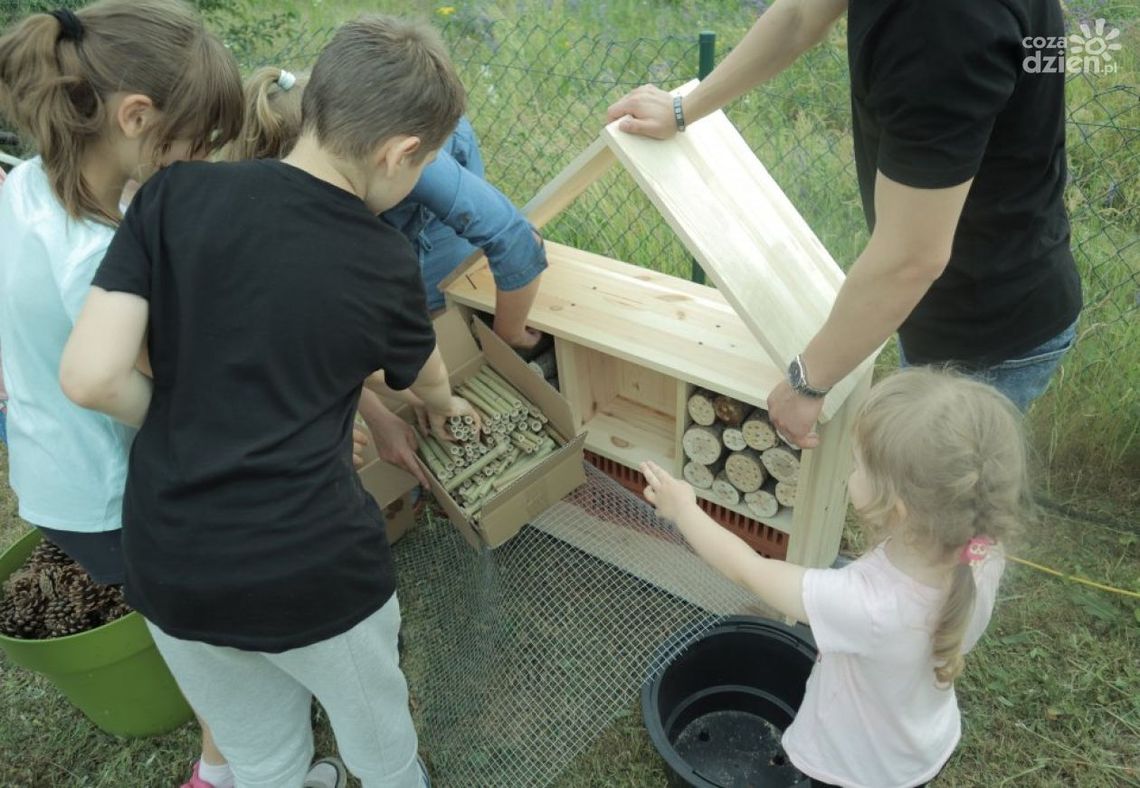 "Eko Piaseczna Górka" "Eko Piaseczna Górka"