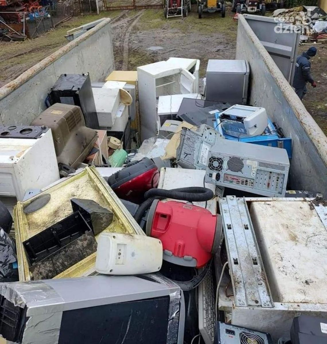 Ekologia się opłaca Ekologia się opłaca