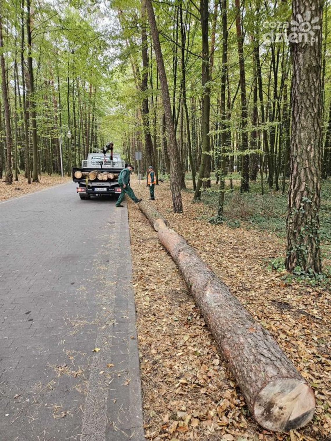 Ekologiczny sposób na nielegalne parkowanie Ekologiczny sposób na nielegalne parkowanie