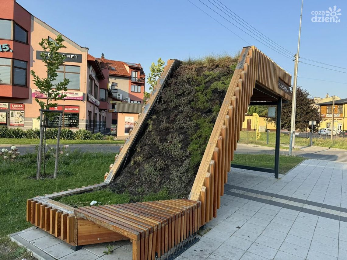 Ekowiaty na ostrowieckich przystankach Ekowiaty na ostrowieckich przystankach