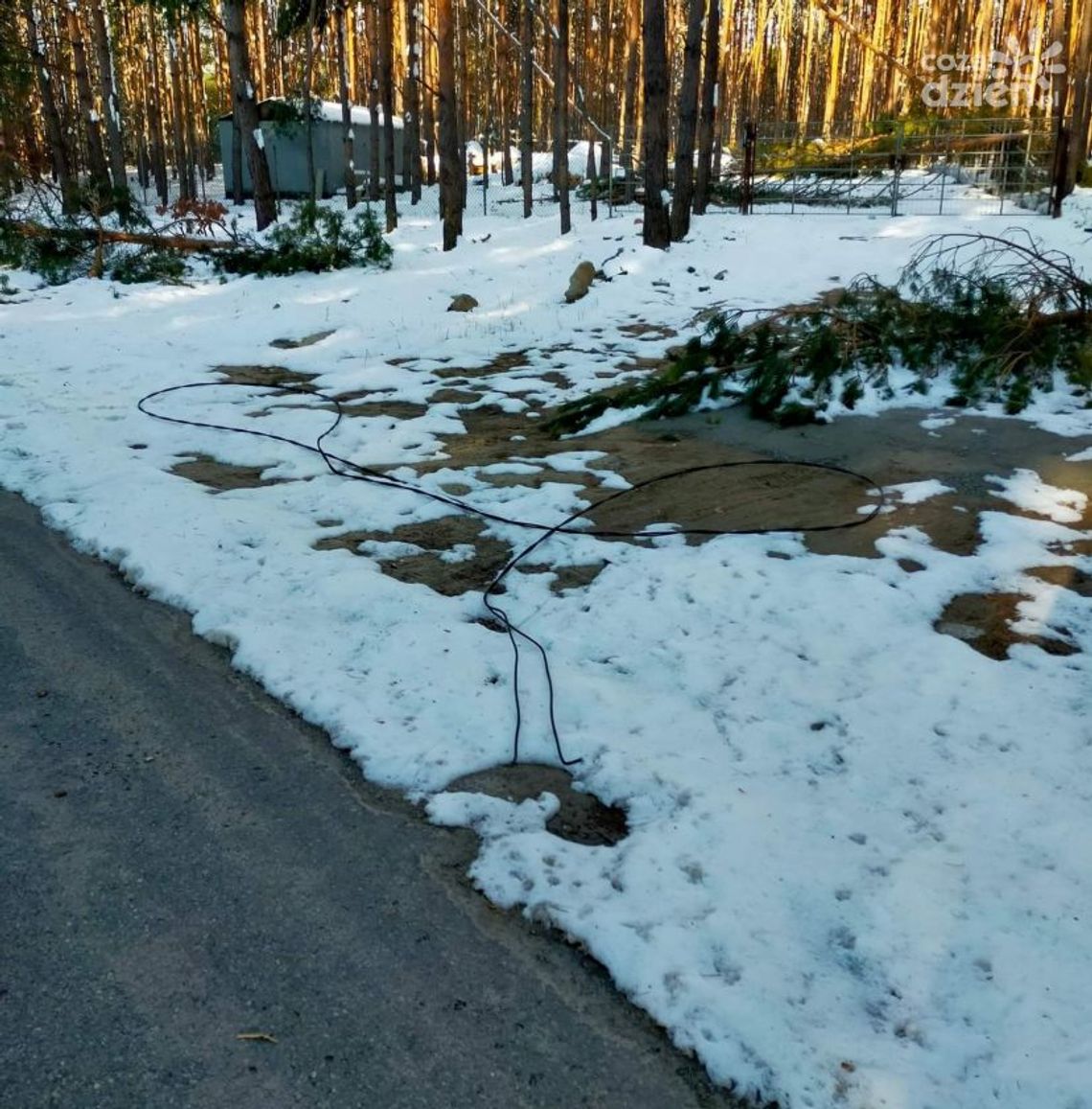 Energetycy nadal usuwają awarie spowodowanej śnieżycą Energetycy nadal usuwają awarie spowodowanej śnieżycą
