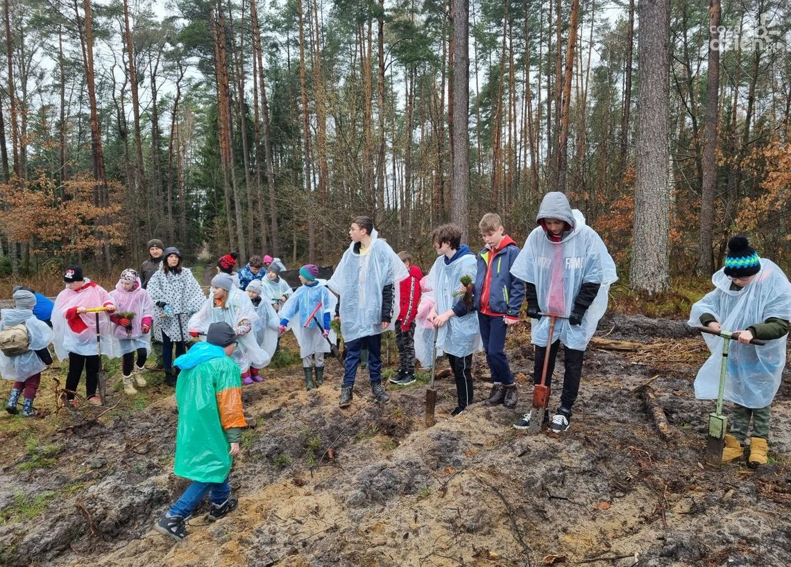 Energetycy razem z dziećmi sadzili las Energetycy razem z dziećmi sadzili las