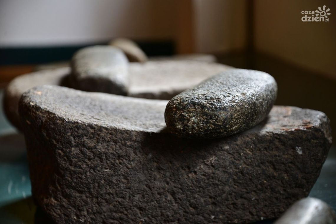 Europejskie Dni Archeologii w Kielcach i Wiślicy