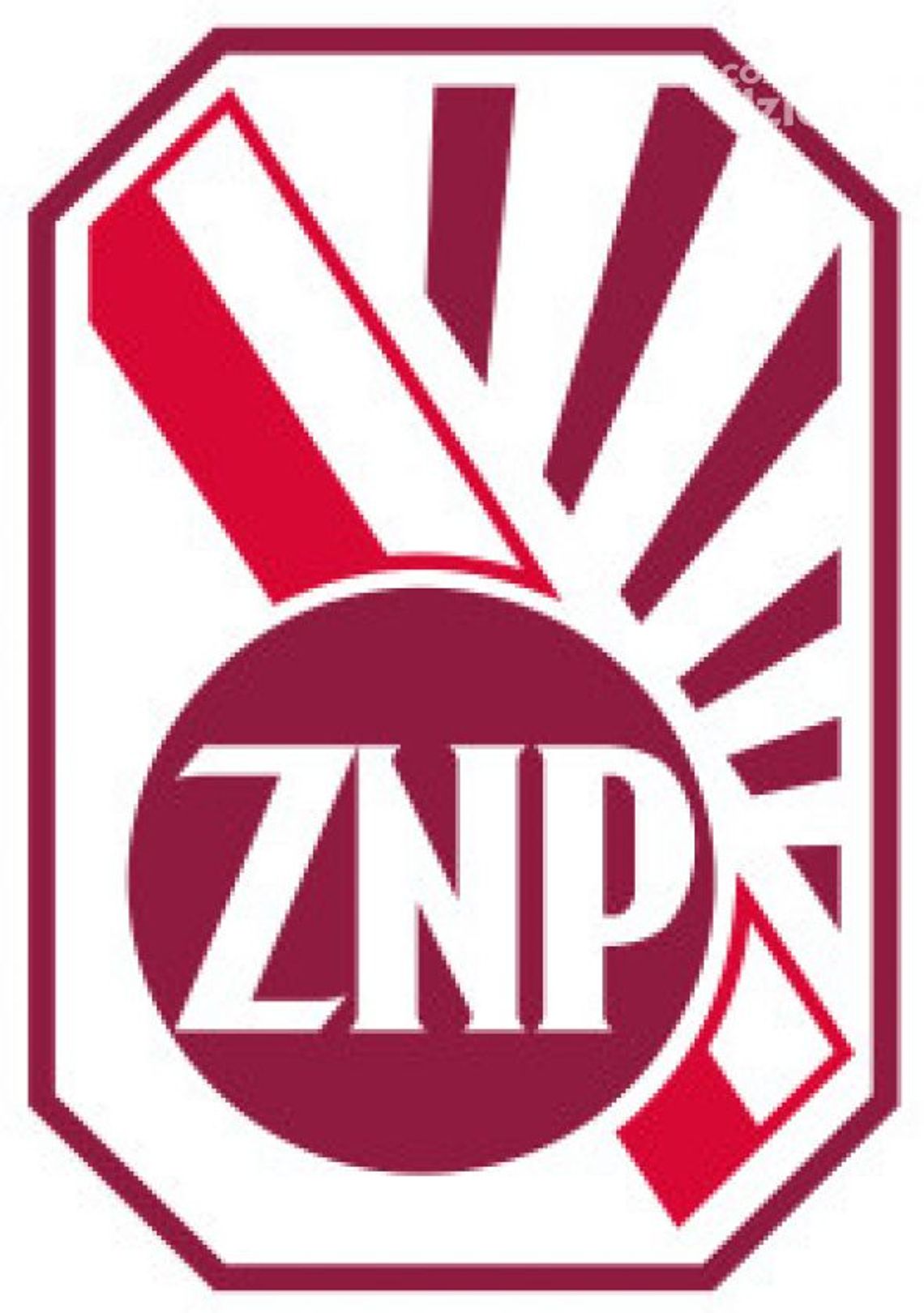 Ewa Malec: Będziemy strajkować Ewa Malec: Będziemy strajkować