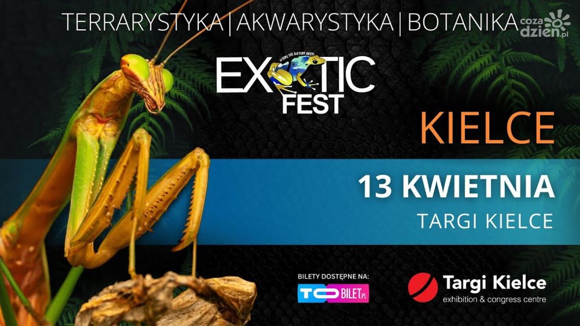 Exotic Fest ponownie w Targach Kielce – egzotyczny świat fascynujących stworzeń i roślin w jednym miejscu!