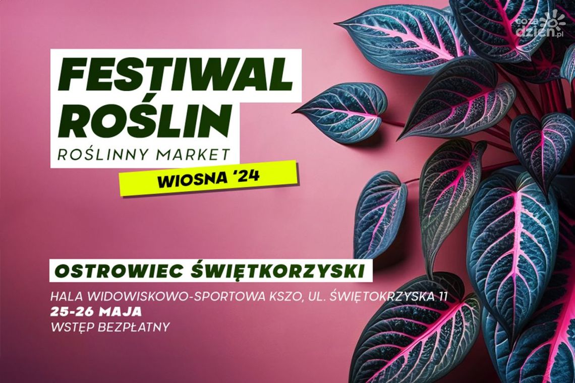 Festiwal Roślin odbędzie się w Ostrowcu Świętokrzyskim