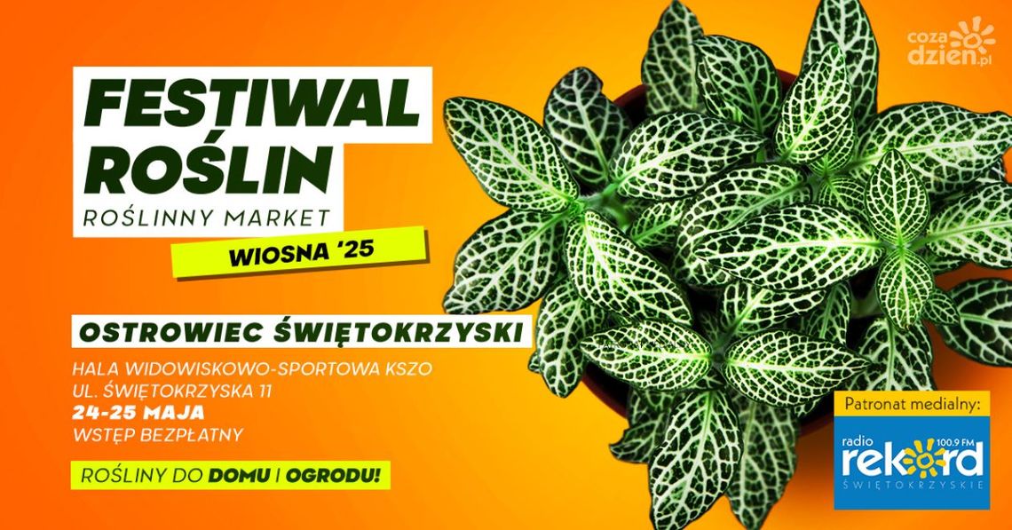 "Festiwal Roślin" powraca do Ostrowca Świętokrzyskiego! Dwa dni zielonego szaleństwa w hali KSZO "Festiwal Roślin" powraca do Ostrowca Świętokrzyskiego! Dwa dni zielonego szaleństwa w hali KSZO