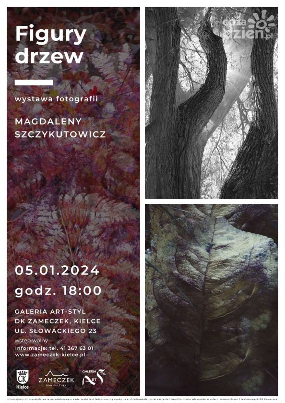 Figury drzew - wystawa fotografii Magdaleny Szczykutowicz Figury drzew - wystawa fotografii Magdaleny Szczykutowicz