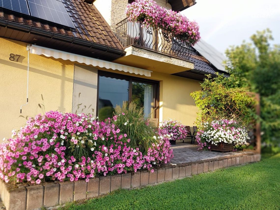 Finał konkursu ukwieconych balkonów i ogrodów (galeria) Finał konkursu ukwieconych balkonów i ogrodów (galeria)