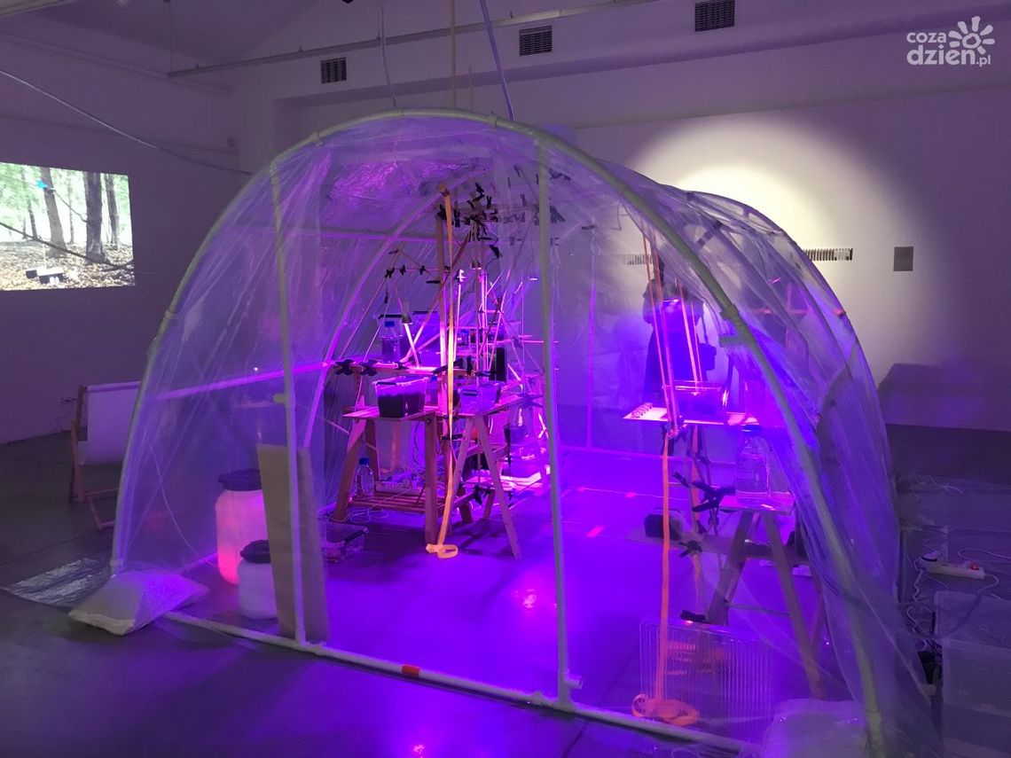 Finisaż wystawy w ostrowieckim BWA Finisaż wystawy w ostrowieckim BWA