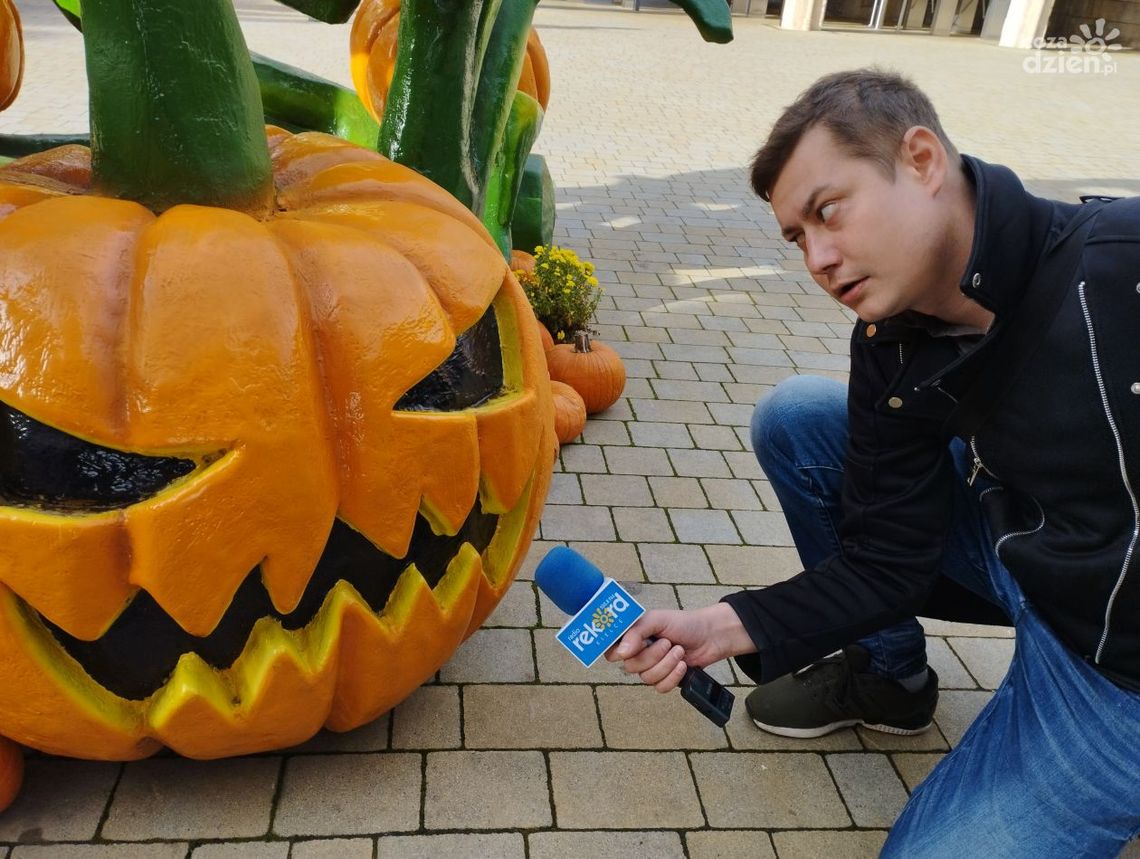 [FOTORELACJA] Radio Rekord z halloweenową wizytą w Energylandii