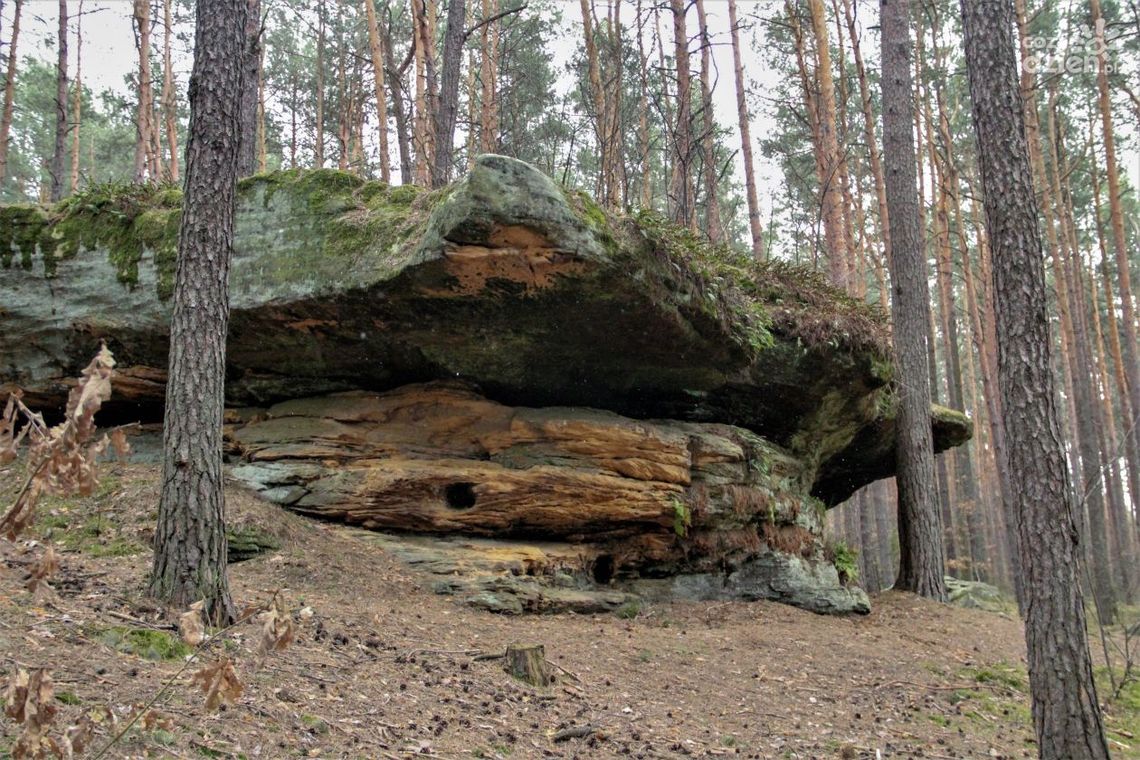 Gdzie na spacer - "Skały w Krynkach" Gdzie na spacer - "Skały w Krynkach"