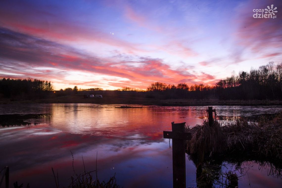 Gdzie ta wiosna? Gdzie ta wiosna?