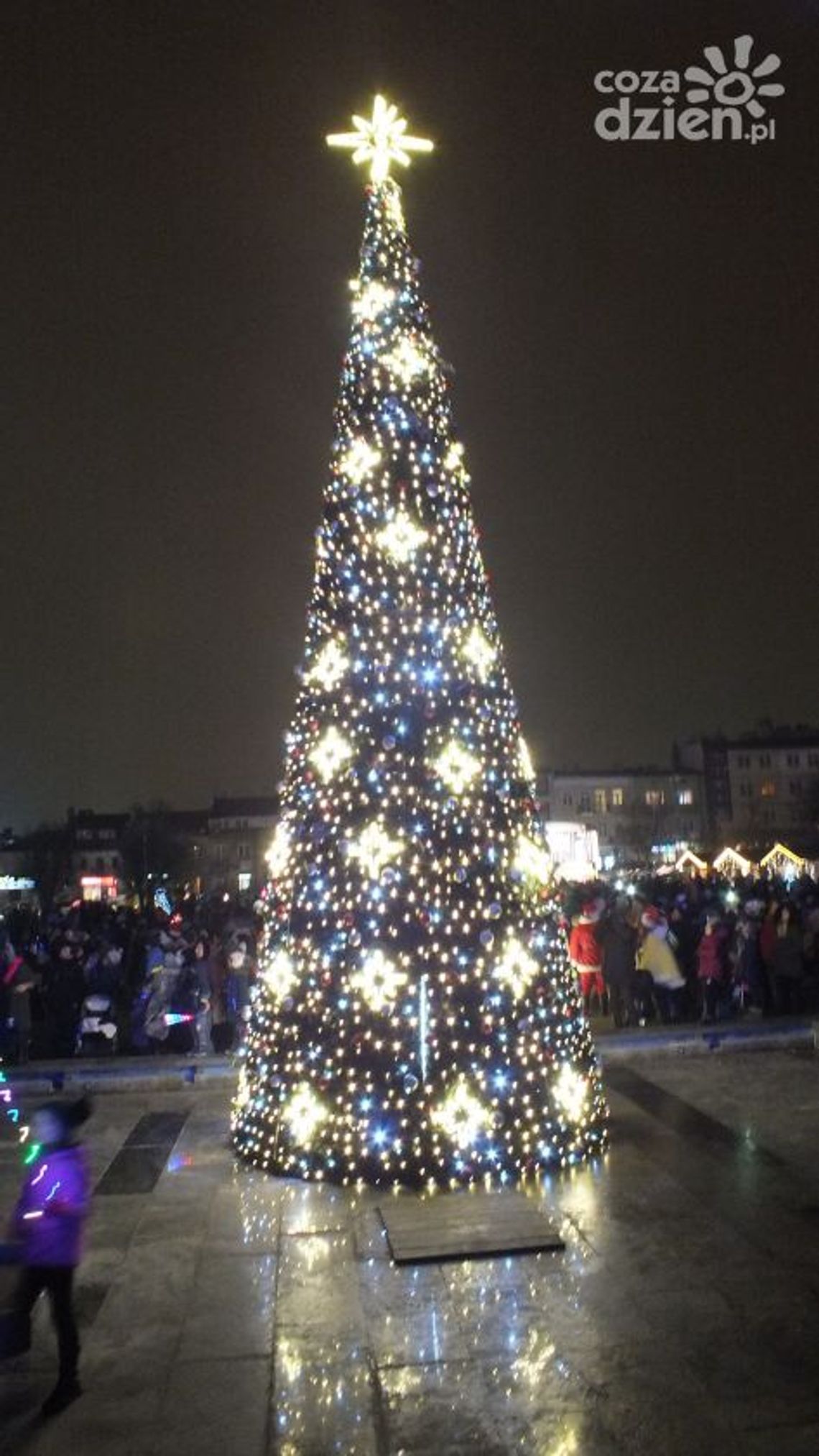 Gigantyczna choinka rozbłysła w Rynku Gigantyczna choinka rozbłysła w Rynku
