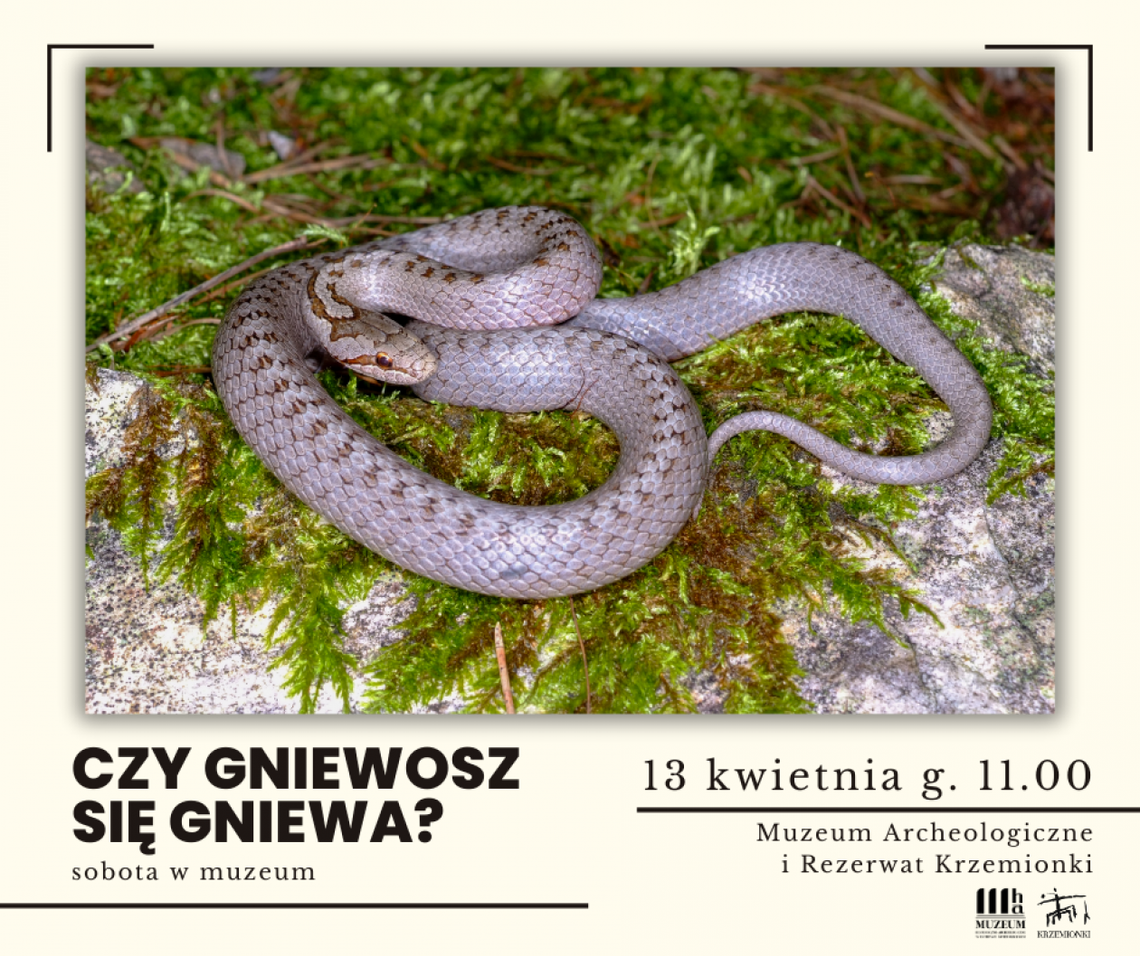 Gniewosz będzie bohaterem kolejnej soboty w muzeum 