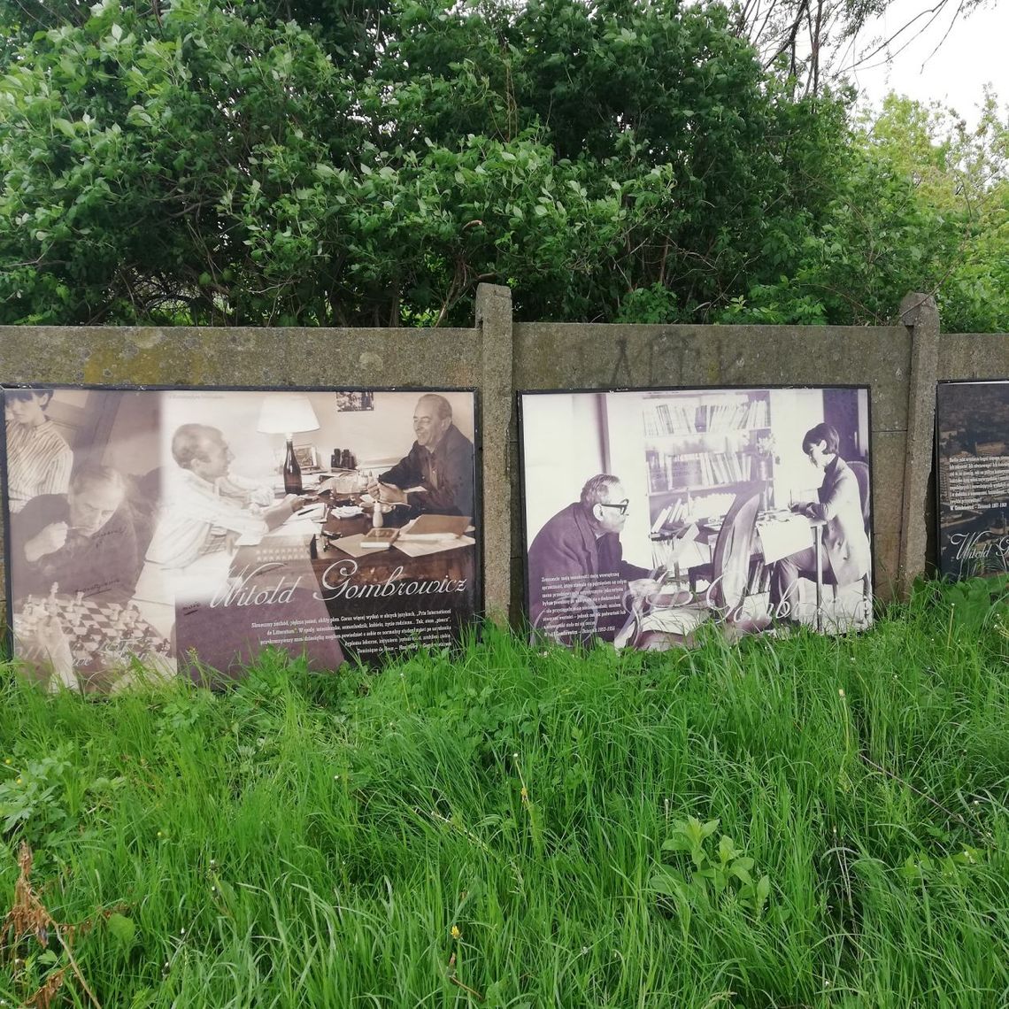 Gombrowicz znowu w Ostrowcu Gombrowicz znowu w Ostrowcu