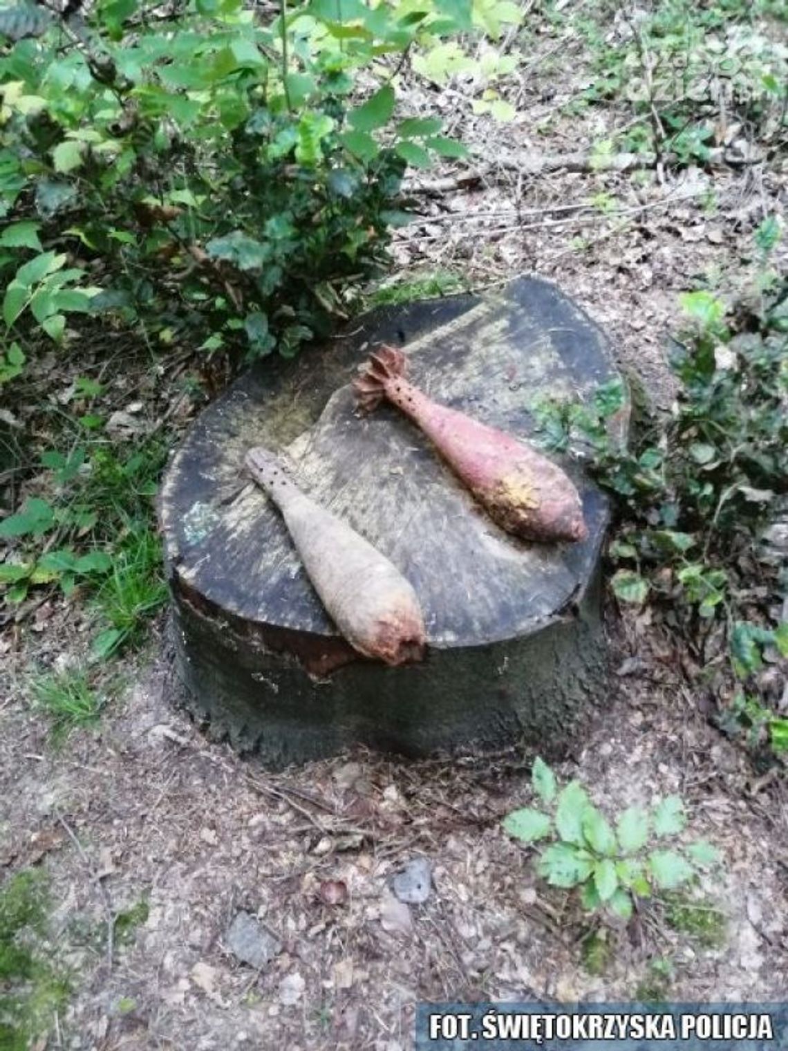 Granaty w gminach Ćmielów i Waśniów