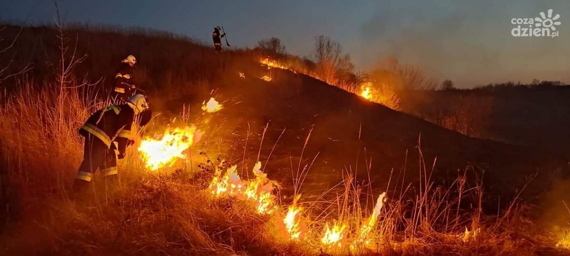 Groźne pożary traw Groźne pożary traw