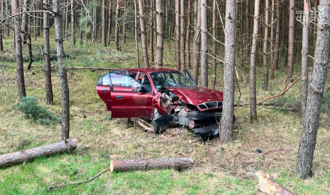 Groźne zdarzenie na drodze wojewódzkiej. Drzewo na jezdni Groźne zdarzenie na drodze wojewódzkiej. Drzewo na jezdni
