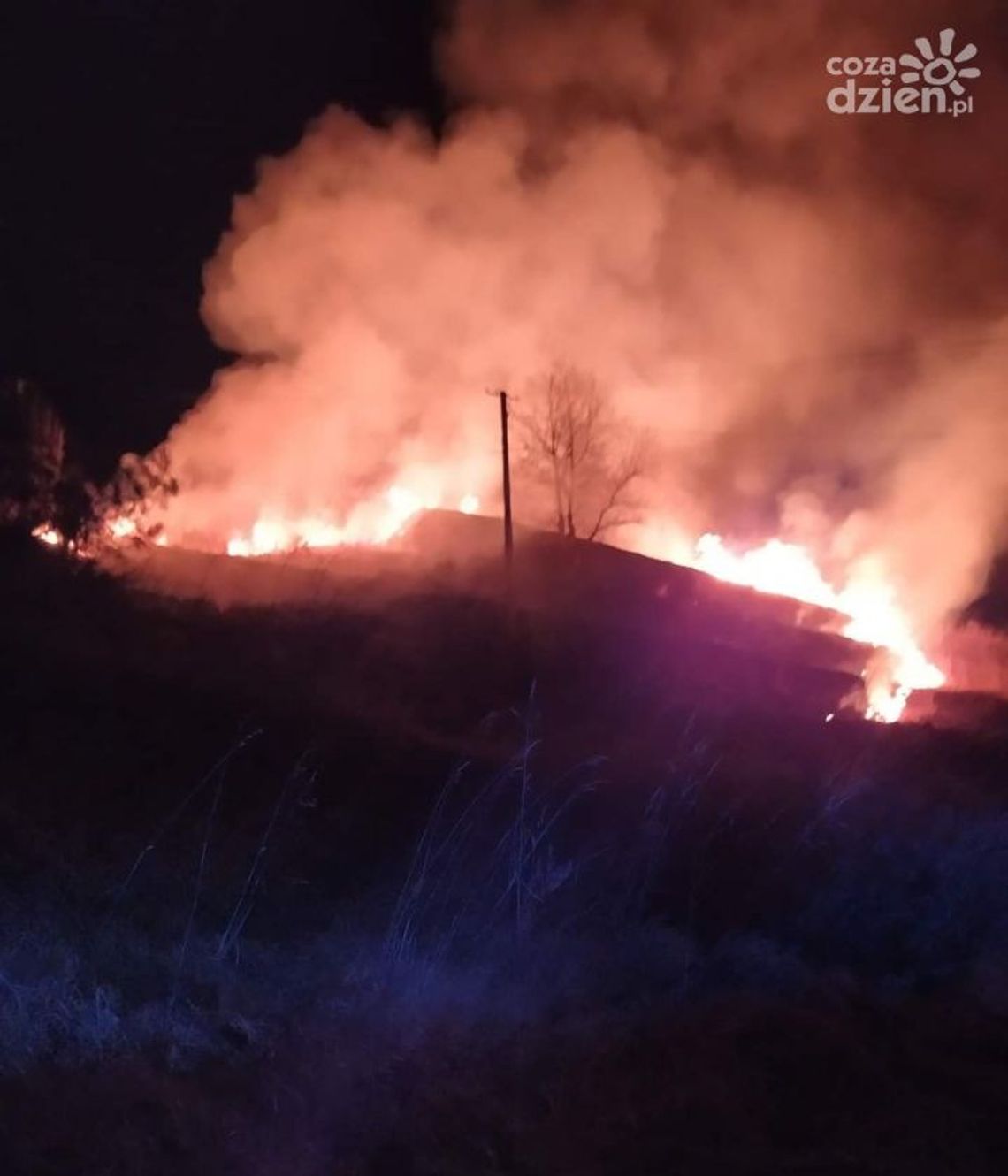 Groźny pożar słomy i traw Groźny pożar słomy i traw