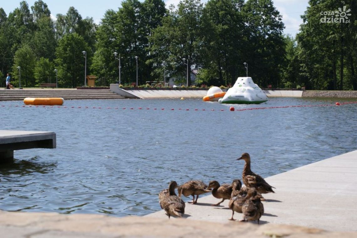 Gutwin już otwarty! Gutwin już otwarty!