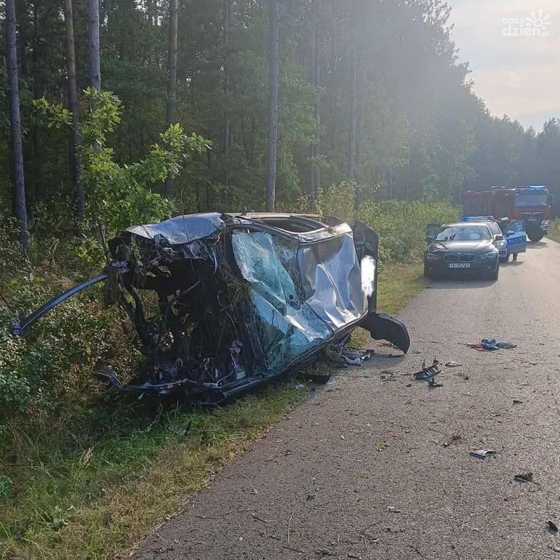Honda na poboczu, kierowcy brak. Policja bada sprawę Honda na poboczu, kierowcy brak. Policja bada sprawę