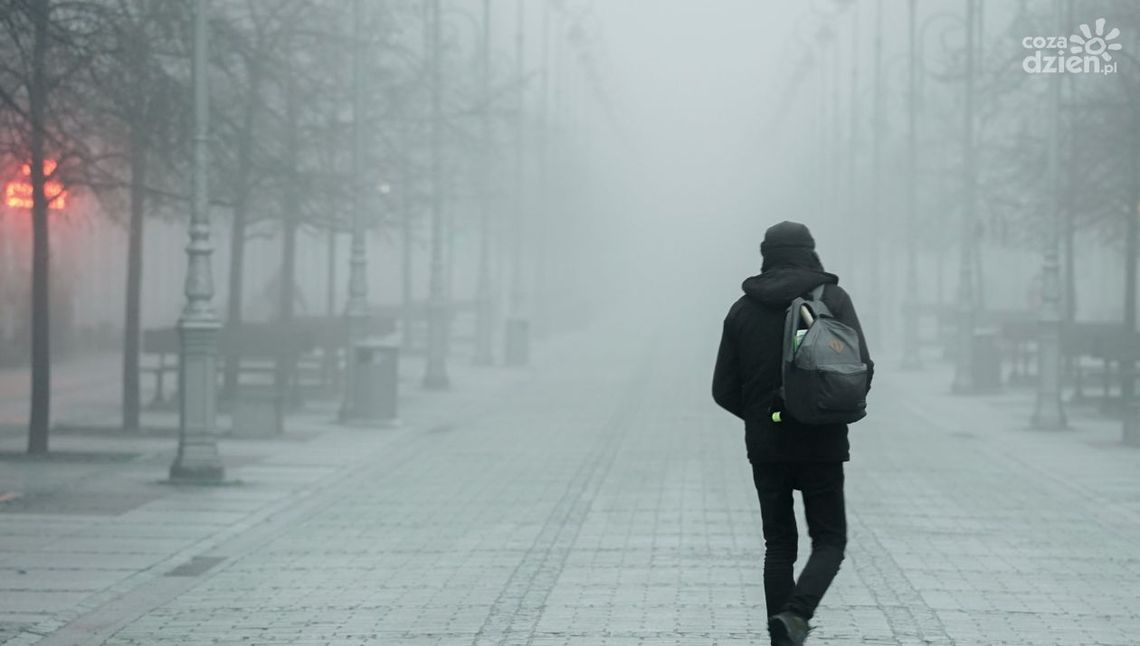 IMGW ostrzega przed mgłami IMGW ostrzega przed mgłami