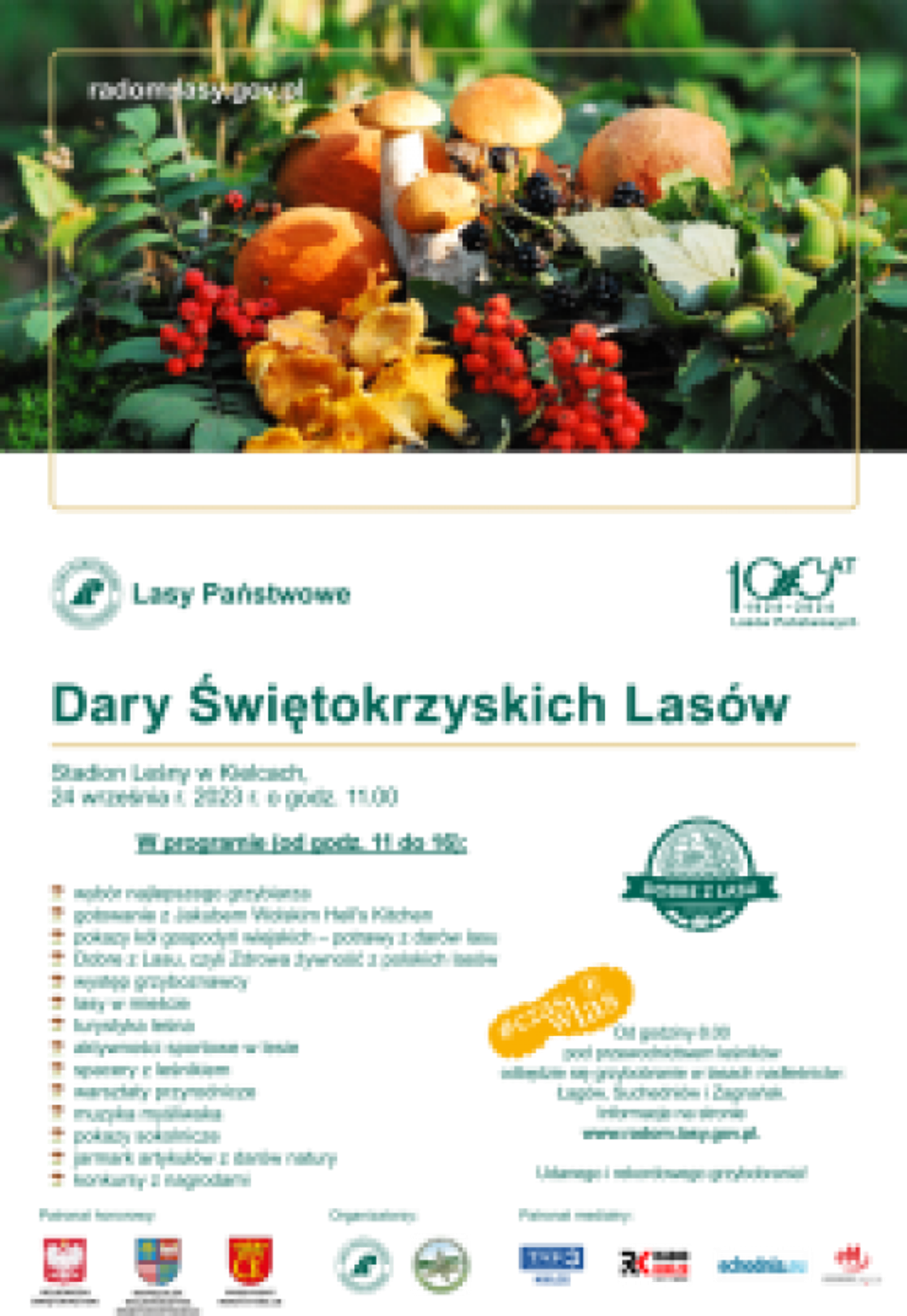 IX Dary Świętokrzyskich Lasów IX Dary Świętokrzyskich Lasów