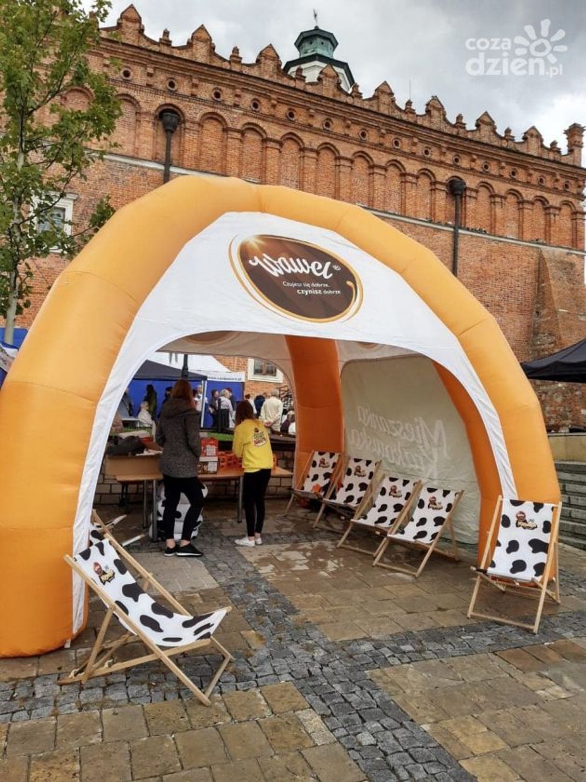 Izabela Augustyn-Mrzygłód: Sandomierz zaleje czekolada