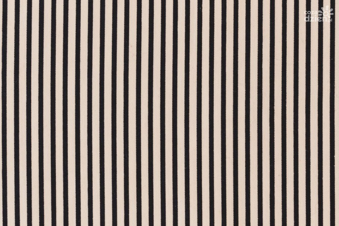 Jak dobrze połączyć tapetę w pionowe pasy z resztą wnętrza? Jak dobrze połączyć tapetę w pionowe pasy z resztą wnętrza?