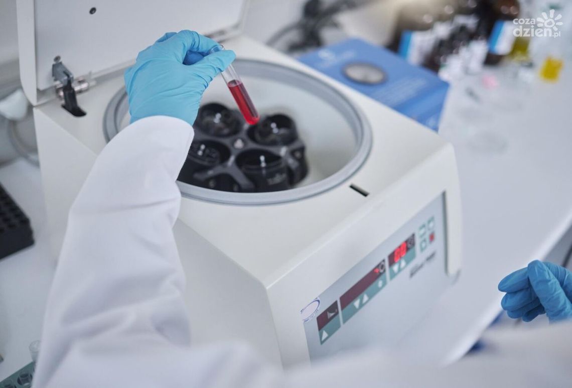 Jak działa cieplarka laboratoryjna?