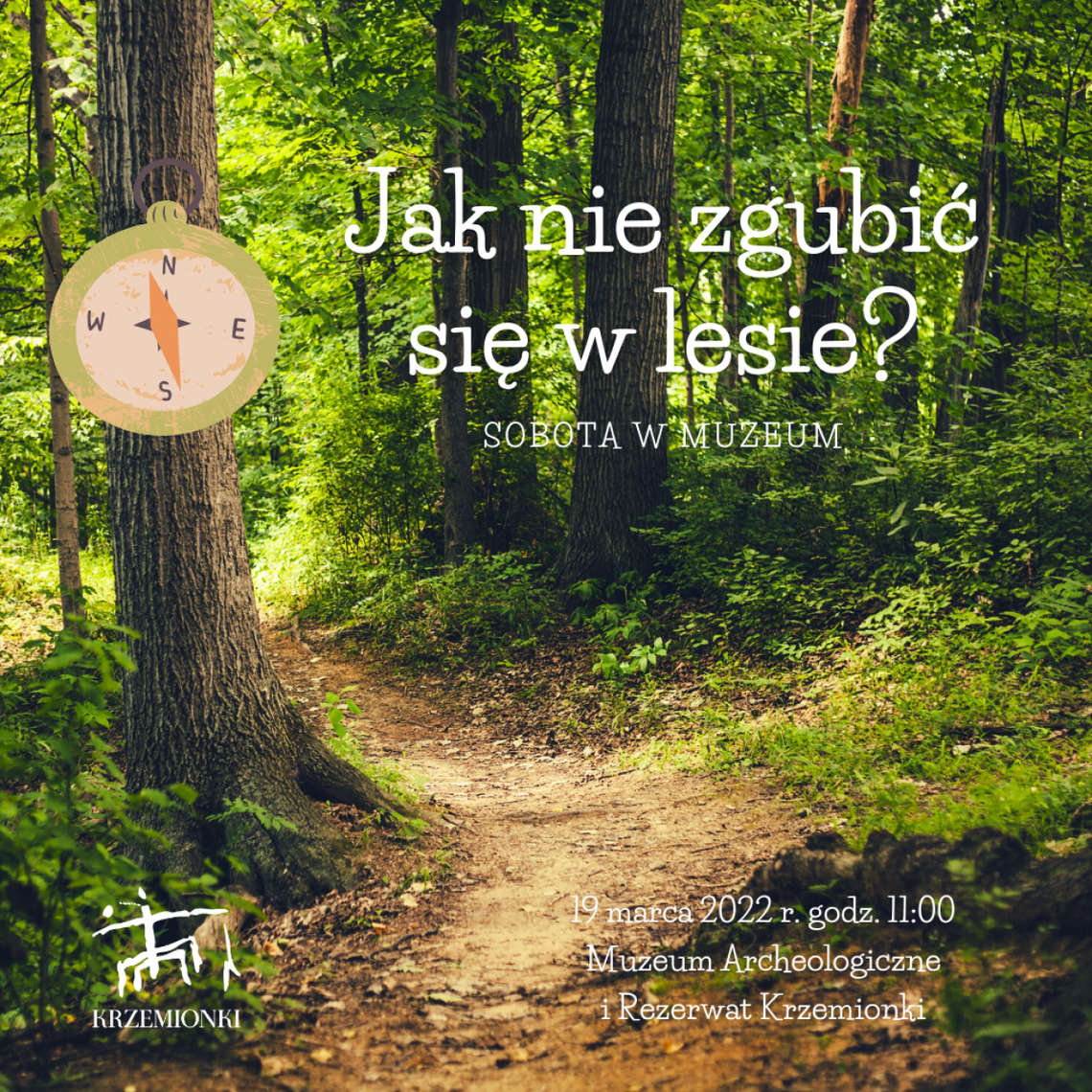 Jak nie zgubić się w lesie? 