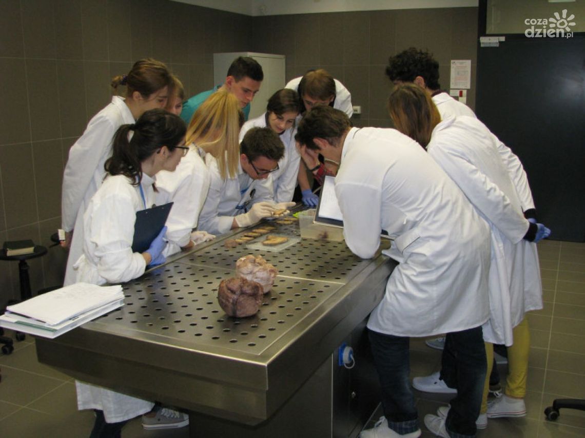 Jak student może skorzystać z pomocy medycznej w nowym mieście?