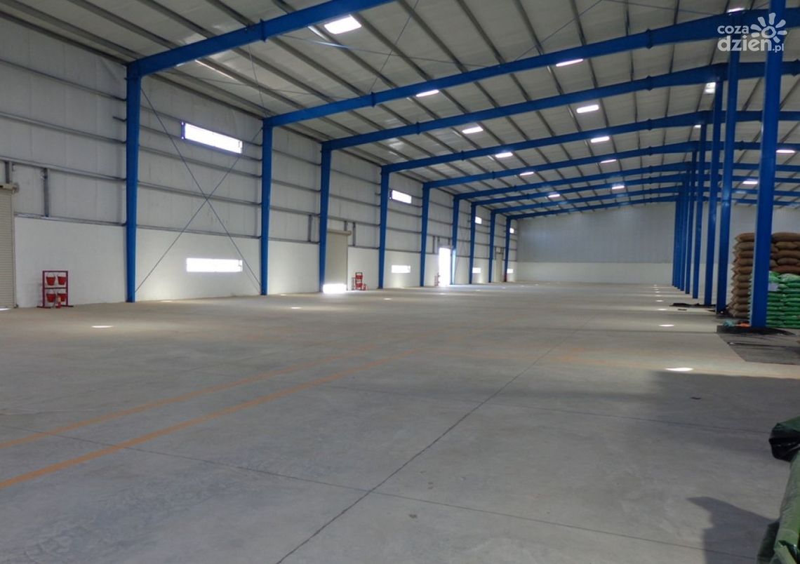 Jak wygląda proces wynajmu magazynu? Na co zwracać uwagę przy wynajmie?