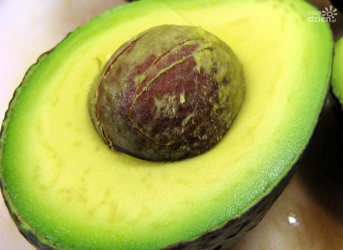 Jak wykorzystać pestkę awokado? Jak wykorzystać pestkę awokado?