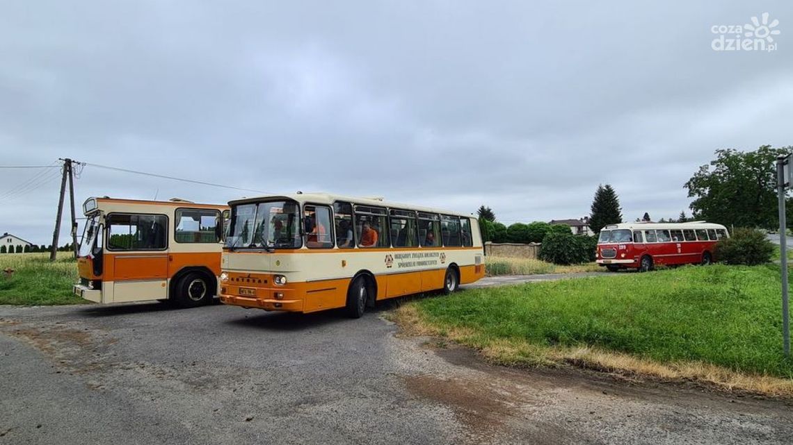 Jak zlot zabytkowych autobusów- to tylko w Starachowicach Jak zlot zabytkowych autobusów- to tylko w Starachowicach