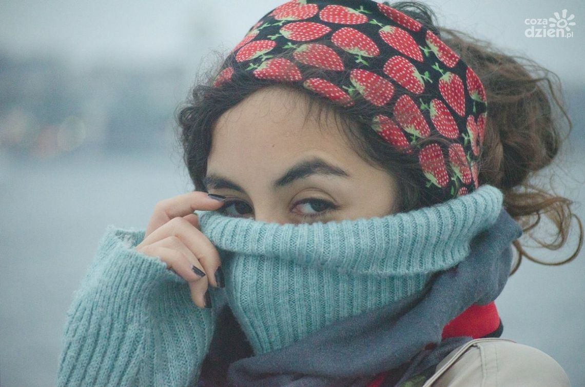 Jak znaleźć sweter dobrej jakości?