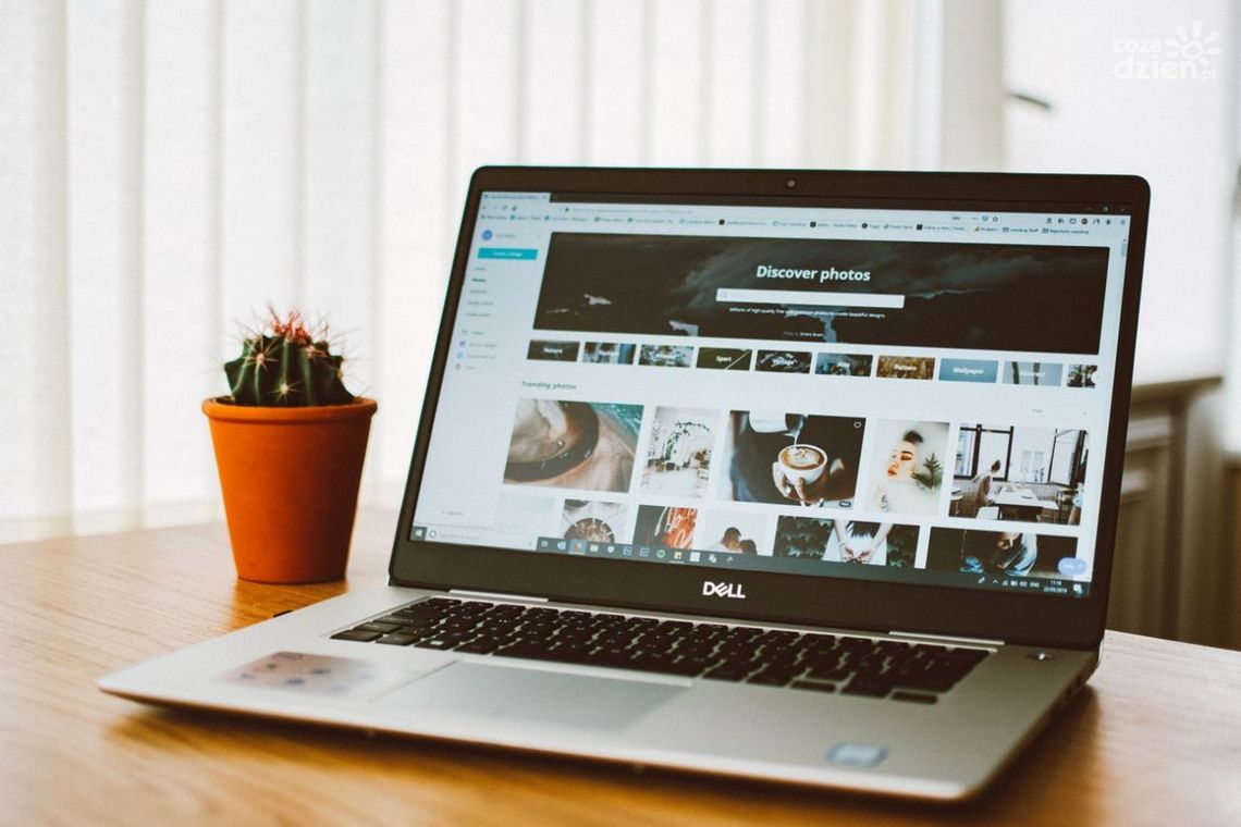 Jakie blogi warto czytać?