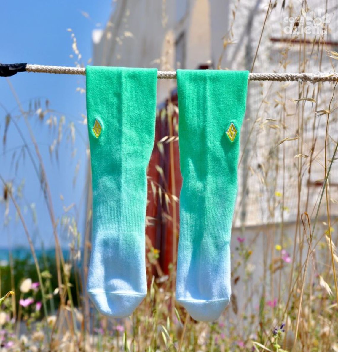 Jakie skarpetki wybrać? Jakie skarpetki wybrać?