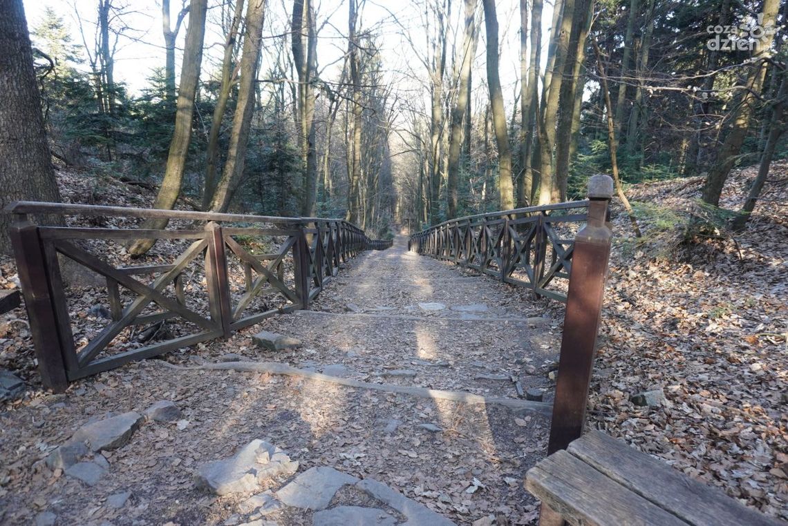 Jan Reklewski: Świętokrzyski Park Narodowy gotowy na sezon turystyczny Jan Reklewski: Świętokrzyski Park Narodowy gotowy na sezon turystyczny